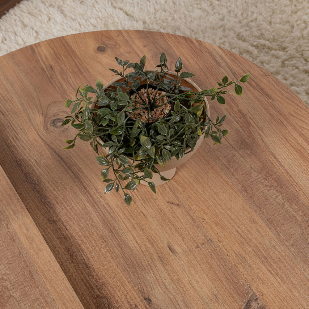 asya-juego-de-2-mesas-bajas-de-madera__Madera oscura