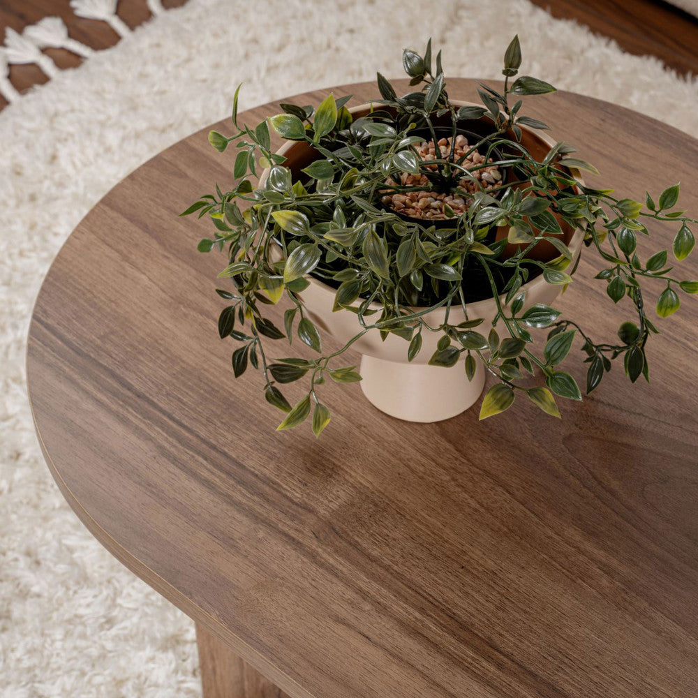 sam-mesa-de-centro-ovalada-de-madera-119x60-cm__Madera oscura